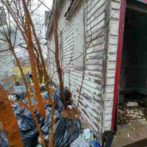 8031 conger (61).jpg